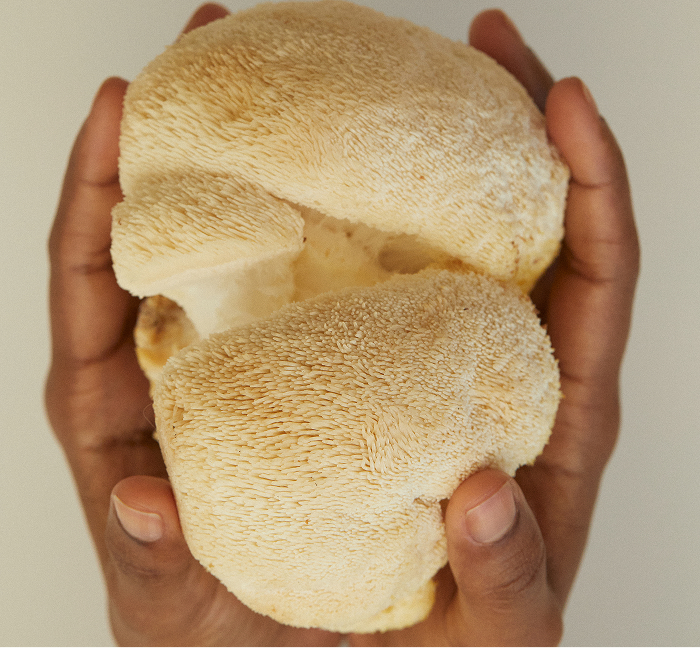 Full-spectrum mushrooms