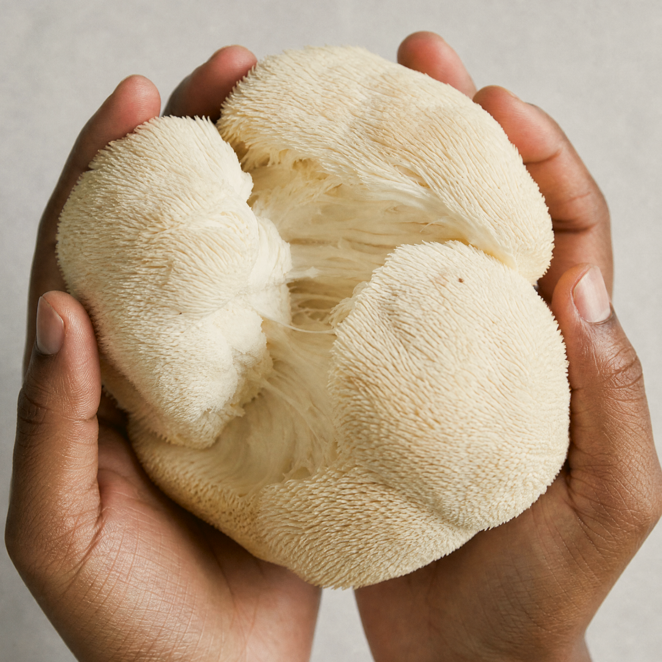 Full-spectrum mushrooms